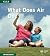 What Does Air Do? (GM Kids ...