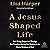 A Jesus-Shaped Life: How Diving Deeper into Theology Can Transform Us and Our World with the Radical Kindness of God