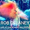 Rob Delaney: Live at the Bowery Ballroom