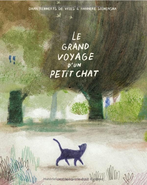 Le grand voyage d'un petit chat (Paperback)