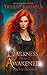 Darkness Awakened: Voice of Discord (Magic and Prophecies Book 5)