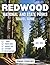 Redwood National and State ...