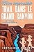 Mon impossible trail dans le Grand Canyon by Véronique Carney