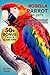 ROSELLA PARROT AS PETS: The...