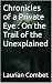 The Detective of Unexplaine...