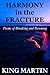 Harmony in the Fracture by King Martin