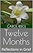 Twelve Months: Reflections ...