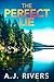 The Perfect Lie (Ava James FBI Mystery Book 20)