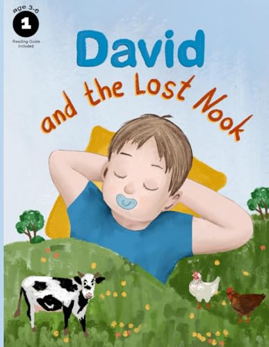 David and the Lost Nook (Paperback)