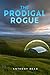 The Prodigal Rogue (The Voided Man Book 11)