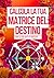 Guida Matrice del Destino: ...