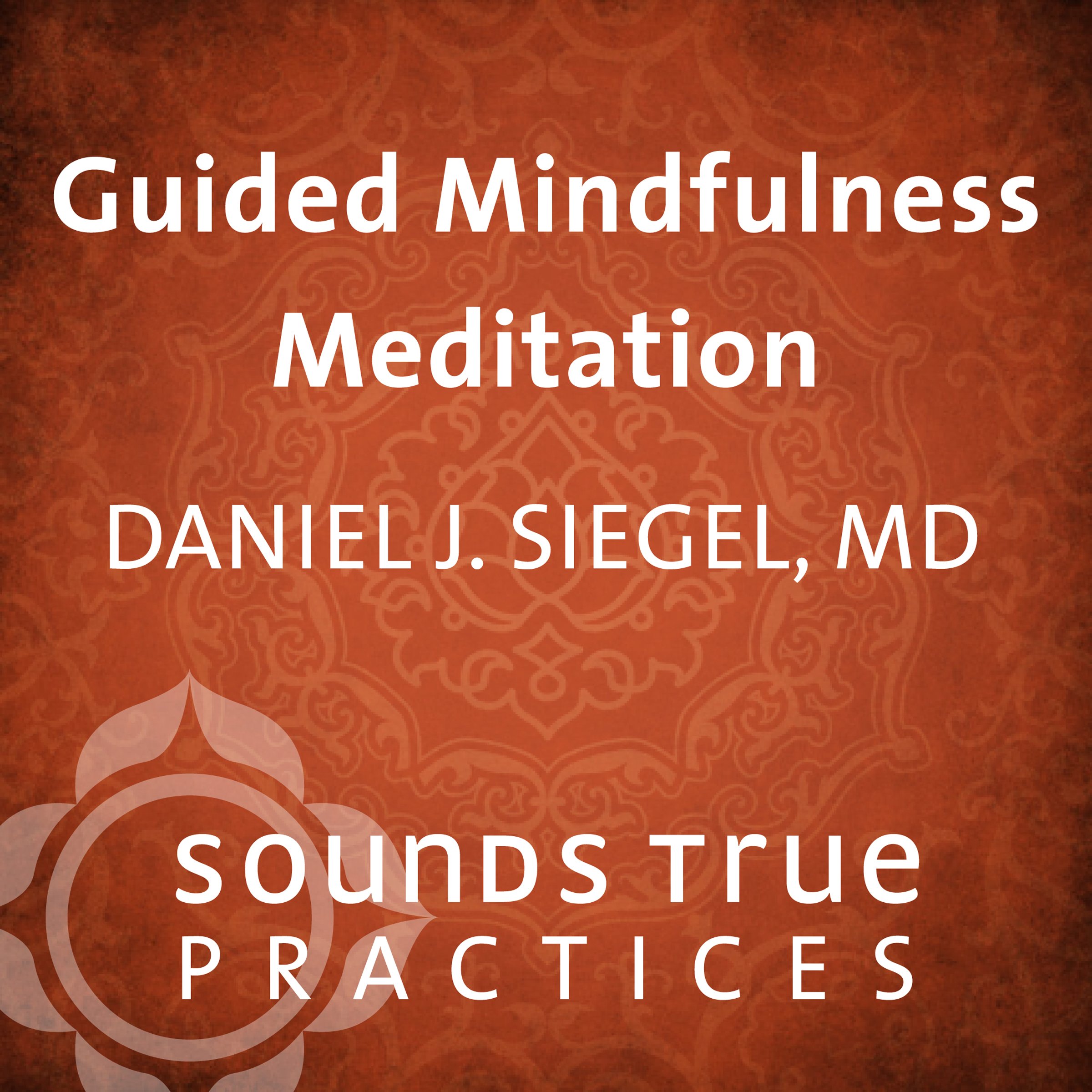 Guided Mindfulness Meditation (Audible Audio)