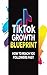 TikTok Growth Blueprint: Ho...