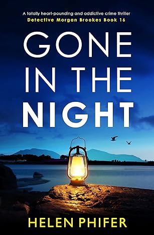 Gone in the Night (Detective Morgan Brookes Book 16)