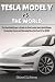 Tesla Model Y vs. The World by Richard M. Steven