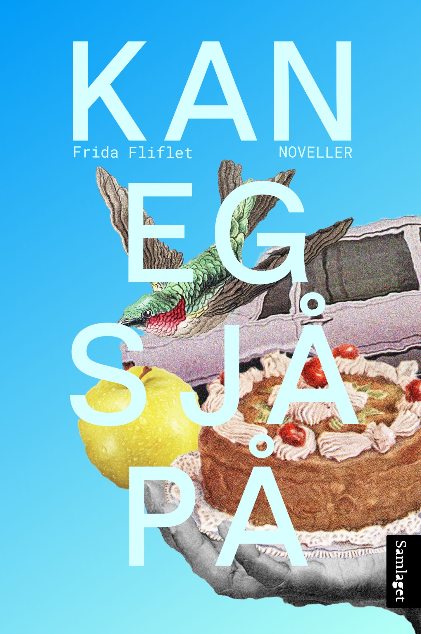 Kan eg sjå på (Hardcover)