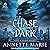 Chase the Dark: Steel & Stone, Book 1