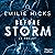 Le projet: Before storm, Vol. 2