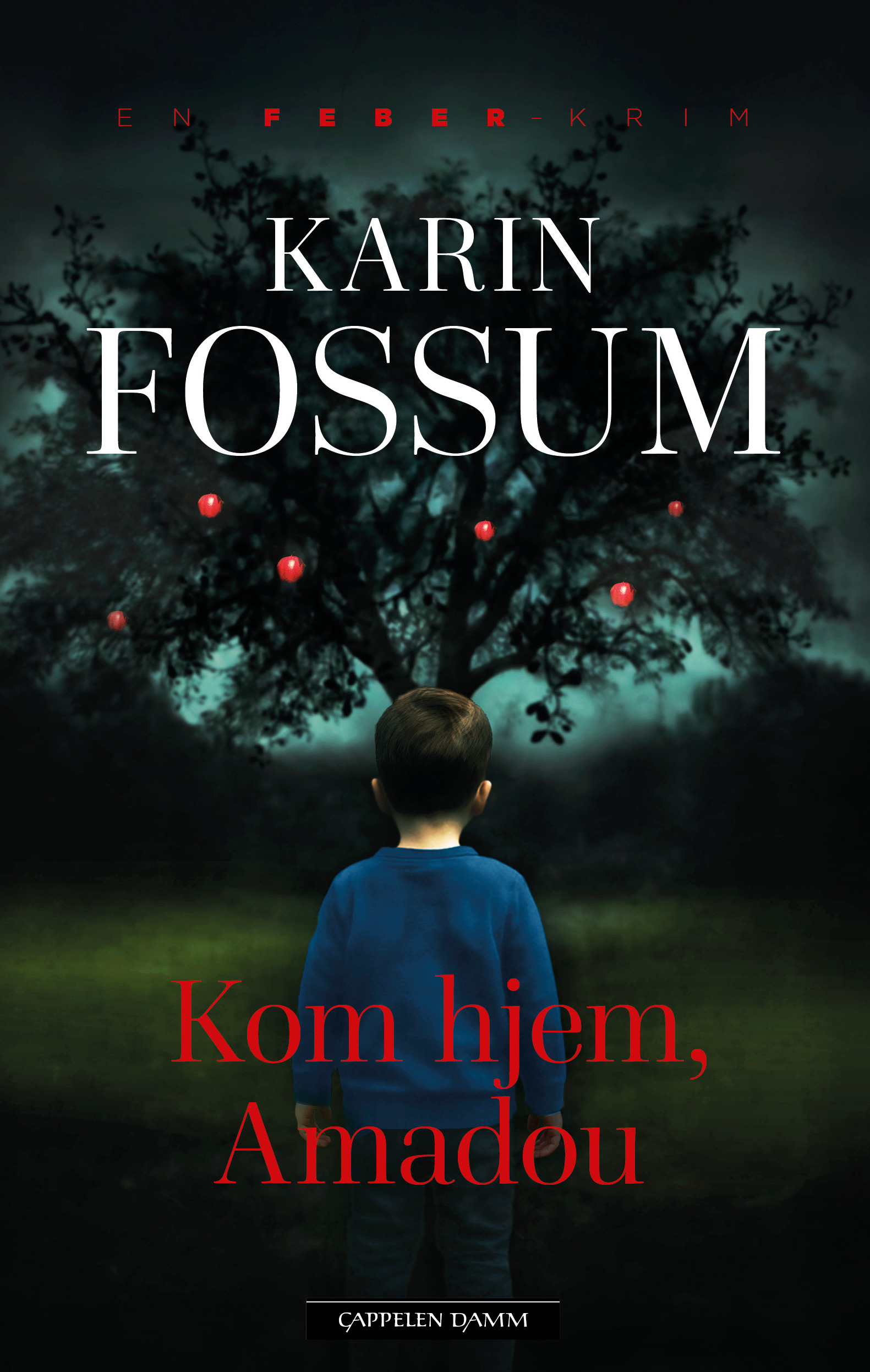 Kom hjem, Amadou (Eddie Feber, #5)