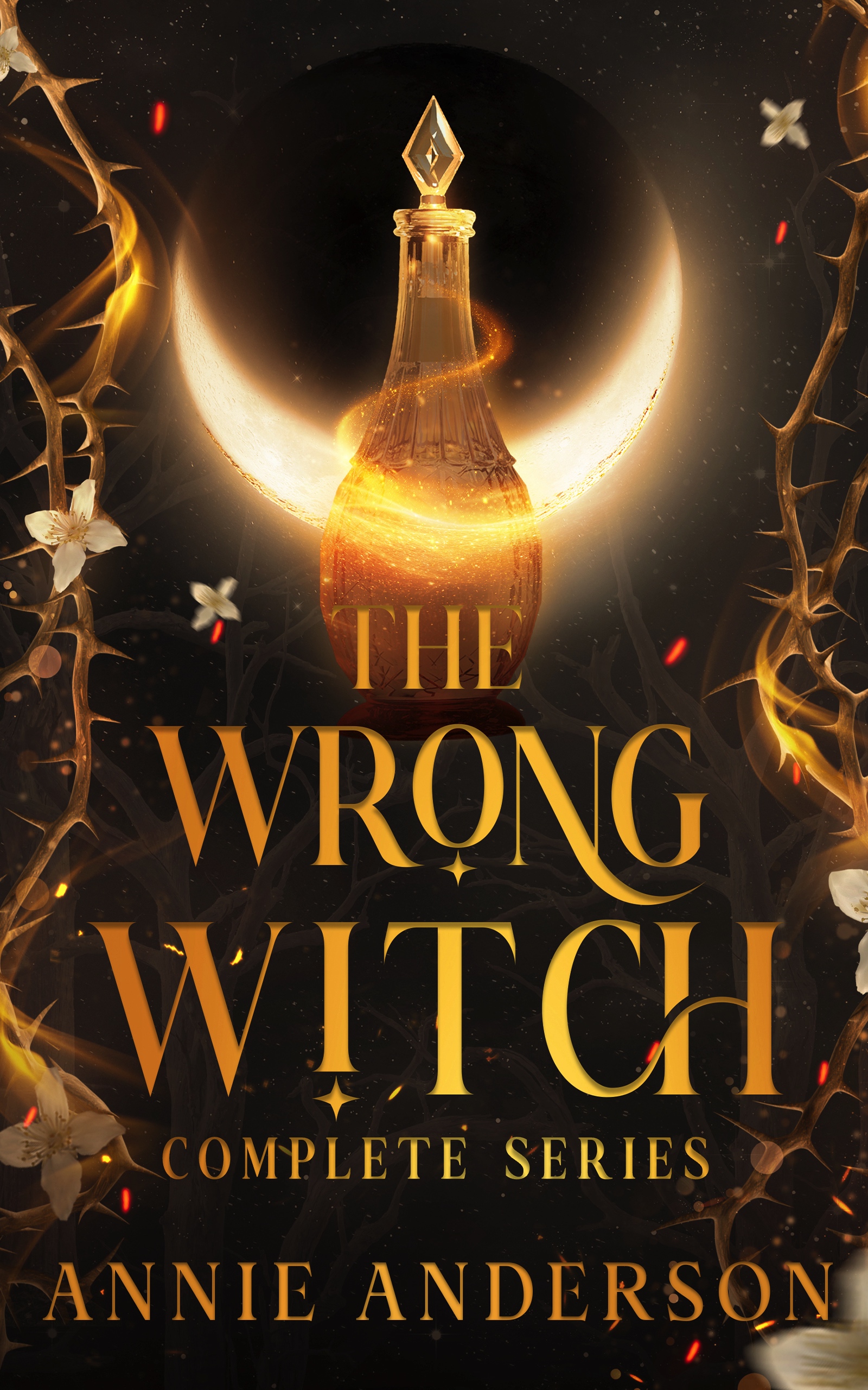 The Wrong Witch Complete Series (The Wrong Witch, #1-3)