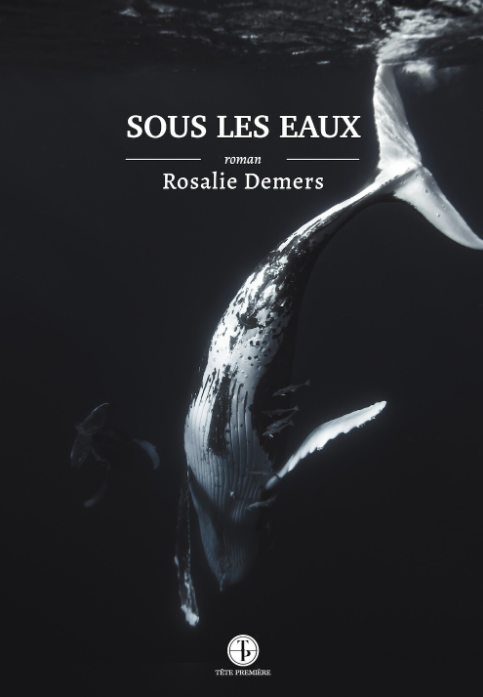 Sous les eaux (Paperback)