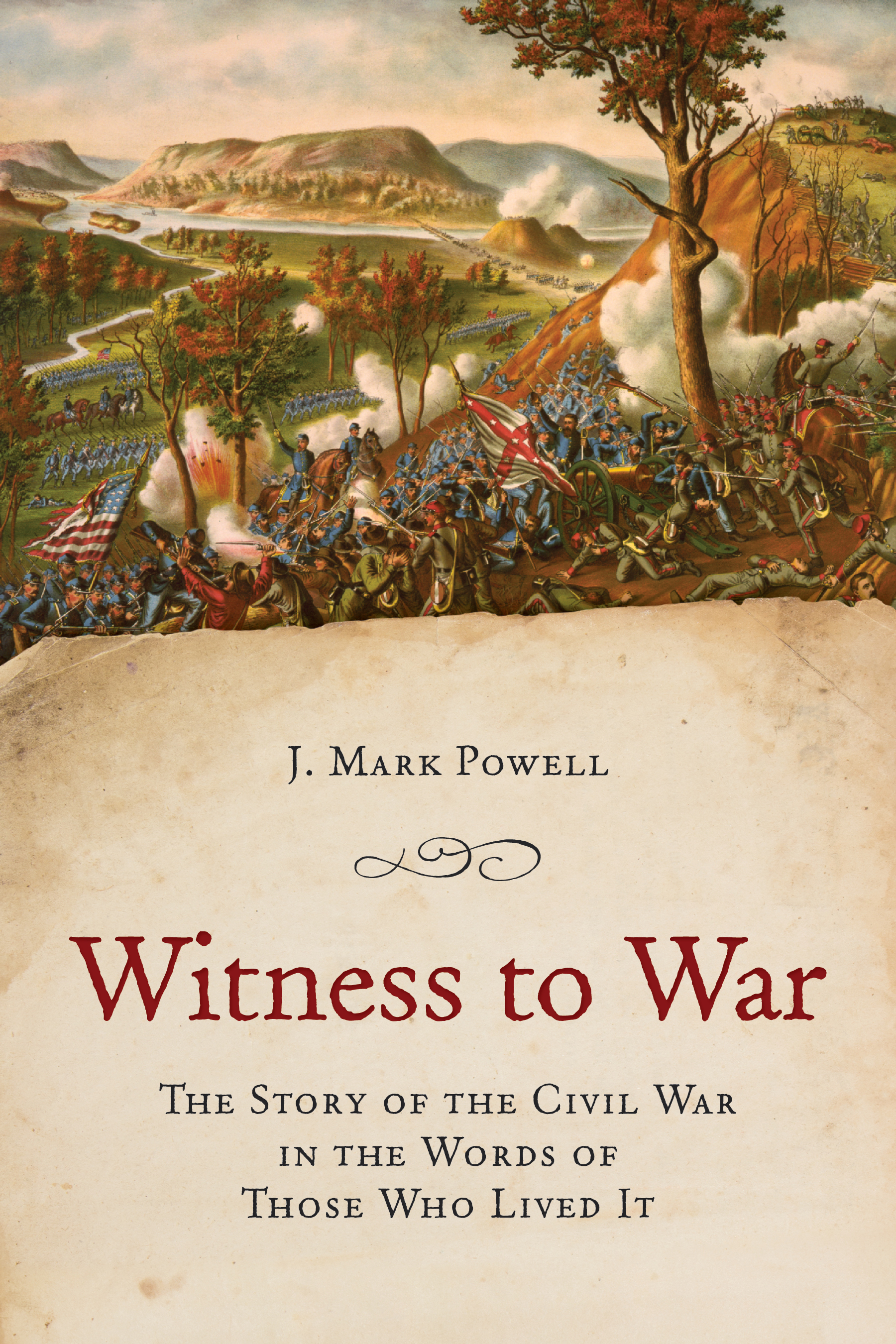 Witness to War (Paperback)