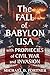 The FALL of BABYLON USA by Michael  D. Fortner