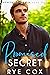 Promised Secret (Promises, ...
