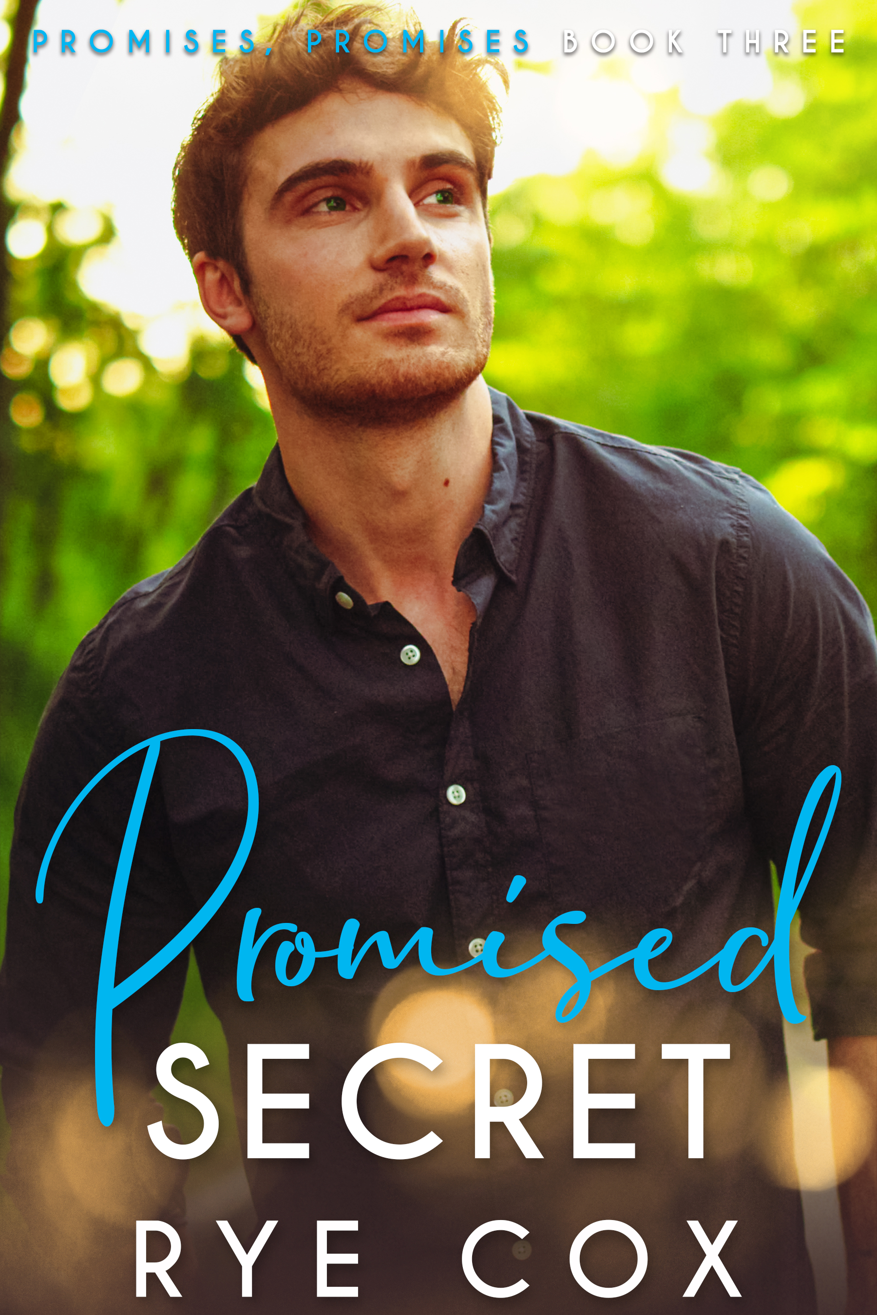 Promised Secret (Promises, Promises #3)