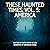 These Haunted Times, Volume Five by Ruth Roper Wylde