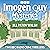 Imogen Quy Mysteries: Two B...