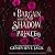 A Bargain With The Shadow Prince