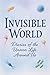Invisible World: Diaries of...