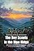 The Boy Scouts in the Blue Ridge By Herbert Carter (Illustrat... by Herbert Carter
