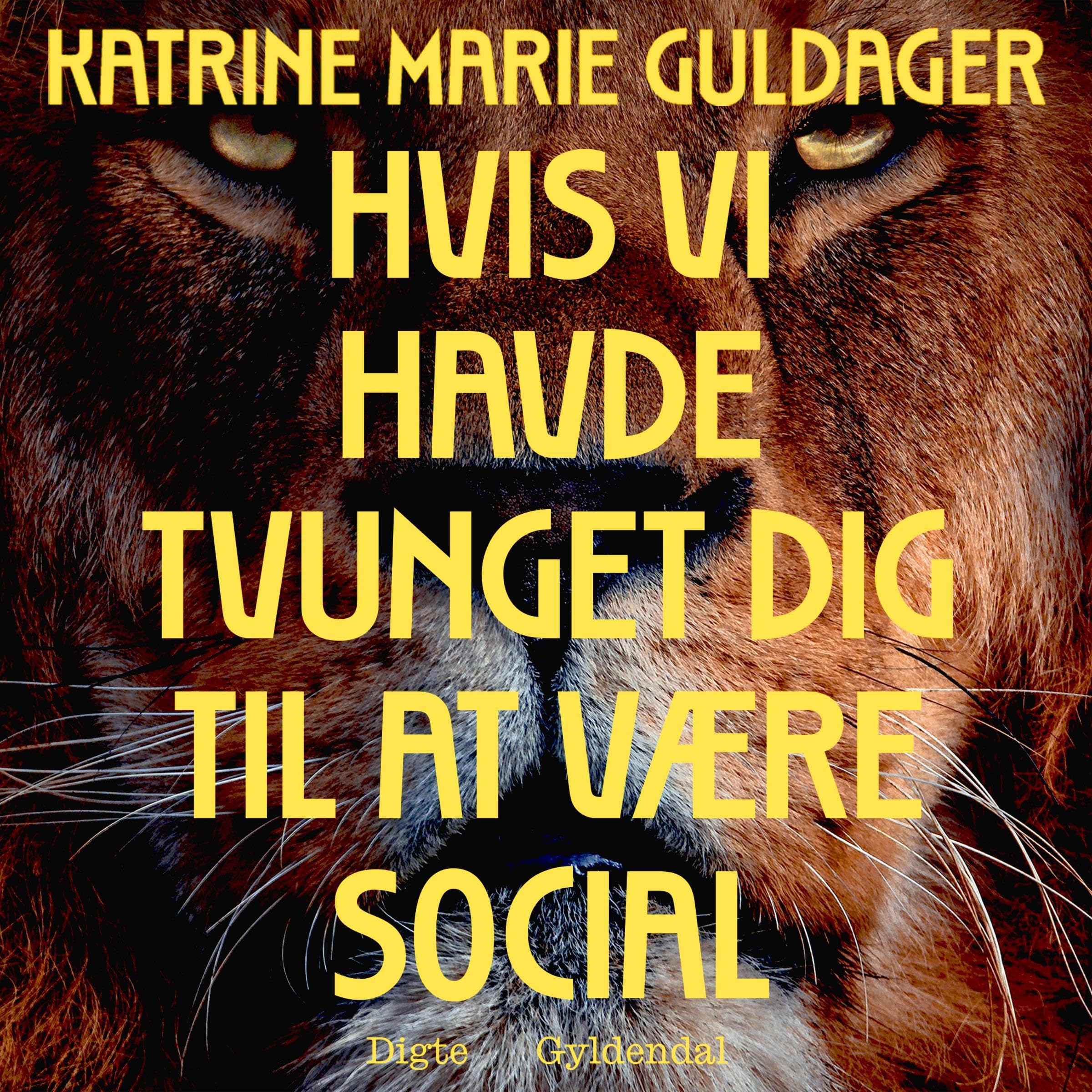 Hvis vi havde tvunget dig til at være social (Audible Audio)