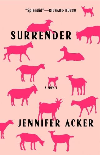 Surrender (Hardcover)
