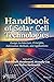 Handbook of Solar Cell Tech...