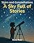 Stars and Constellations by Annie Noor