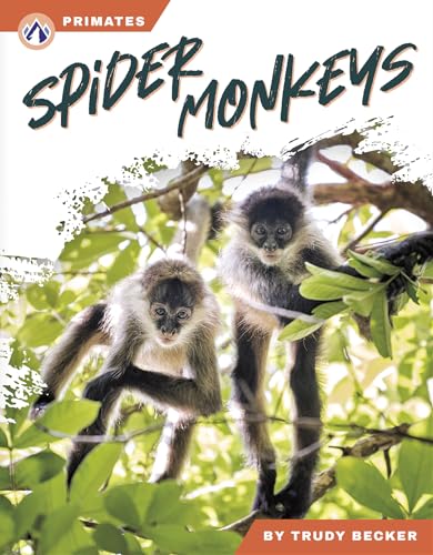 Spider Monkeys (Primates)
