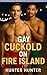 Gay Cuckold on Fire Island:...
