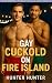 Gay Cuckold on Fire Island by Hunter Hunter