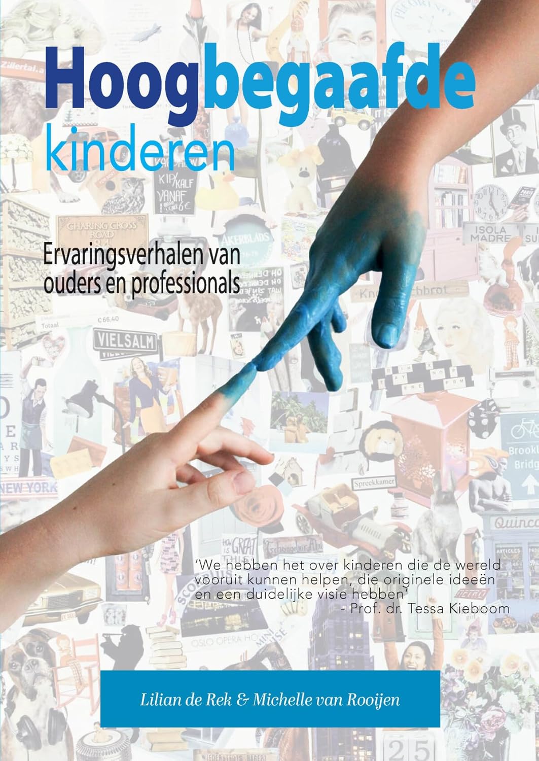 Hoogbegaafde kinderen: Ervaringsverhalen van ouders en professionals (Paperback)