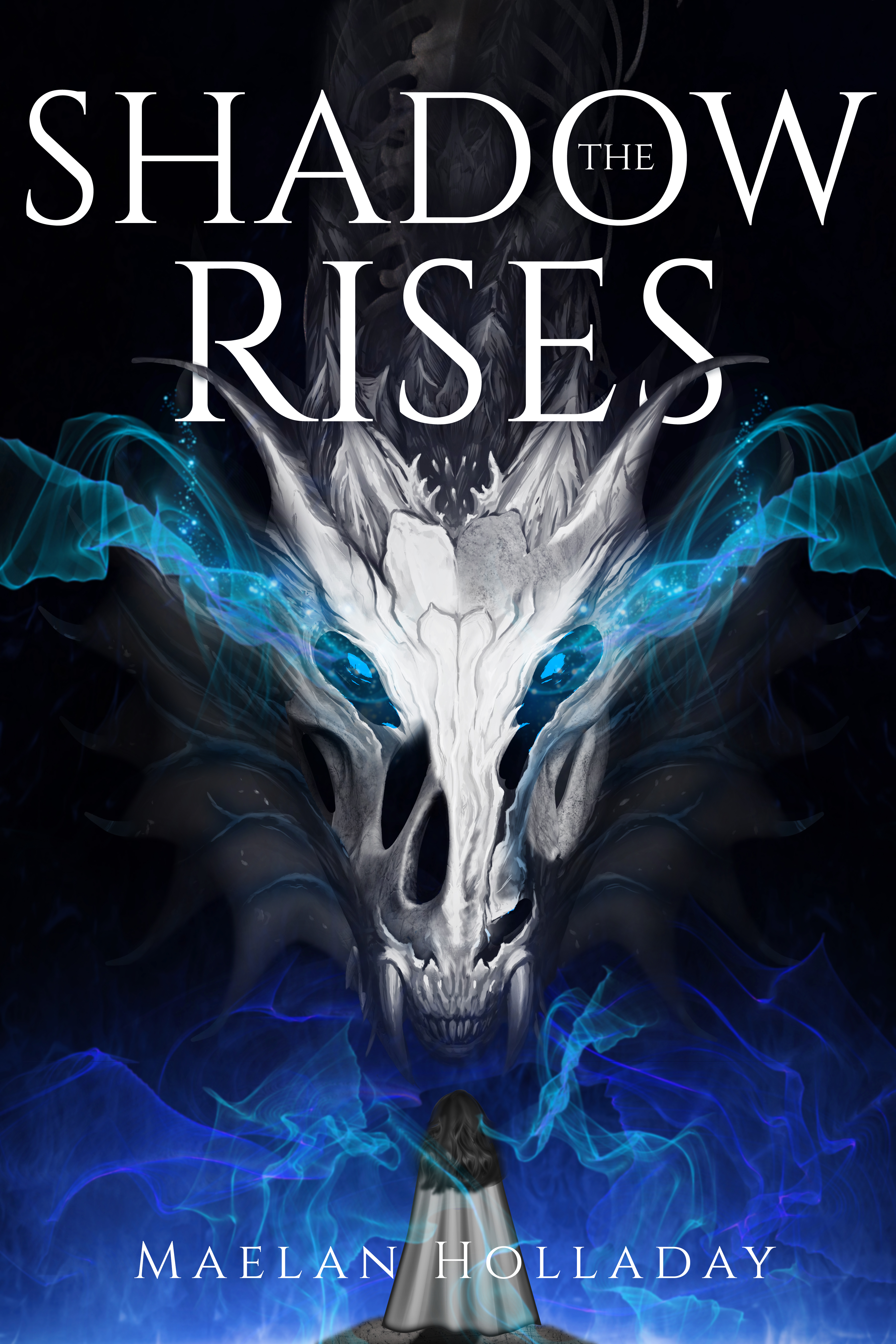 The Shadow Rises (Stormfall, #2)
