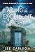 A Single Excellent Night by Lee Carlson