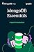 MongoDB Essentials: A quick introduction