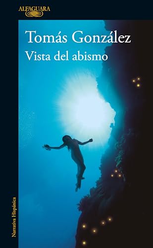 Vista del abismo (Spanish Edition)