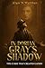 In Dorian Gray's Shadow by Alan N Webber