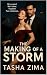 The Making of a Storm: An Ashby Lake Adjacent Novel