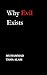 Why Evil Exists by Muhammad Tâhâ Âlam