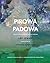 Pirowa Padowa by Lee Jenny